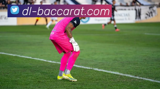 百家乐官网平台生态图